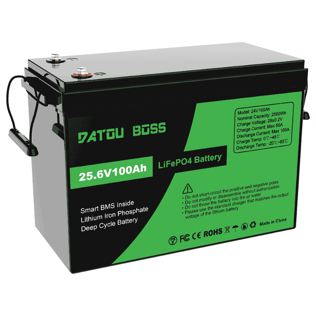 Bateria LiFePo4 24V 100Ah, DT-24V100A-A01